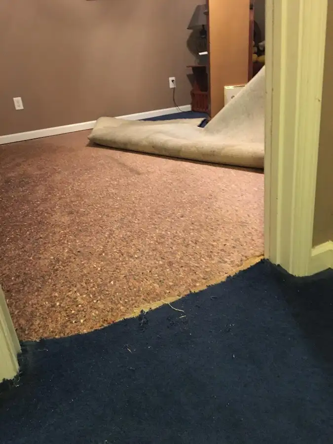 Carpet pad removal revealing water damage during Drying & Dehumidification in East Liverpool