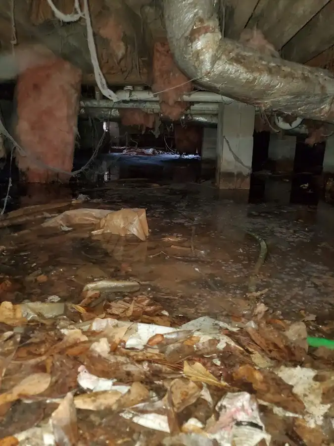 Crawl space flood assessment for Commercial Water Damage Restoration in East Liverpool