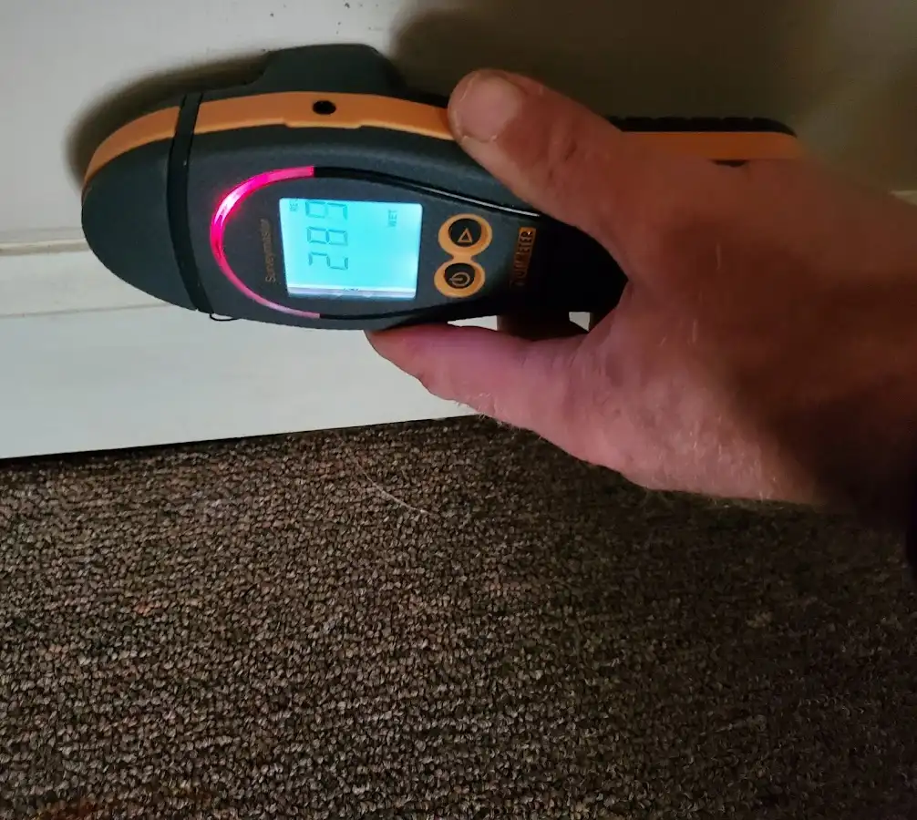 Moisture detection at baseboard during Sewage Cleanup & Sanitation in East Liverpool